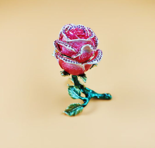 rose flower